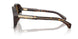 300273 - Tortoise - Brown Solid