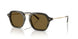 616873 - Green - Dark Brown