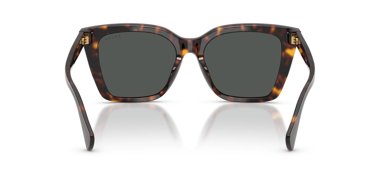 500387 - Tortoise - Grey