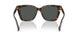 500387 - Tortoise - Grey