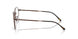 2511 - Brown - Clear