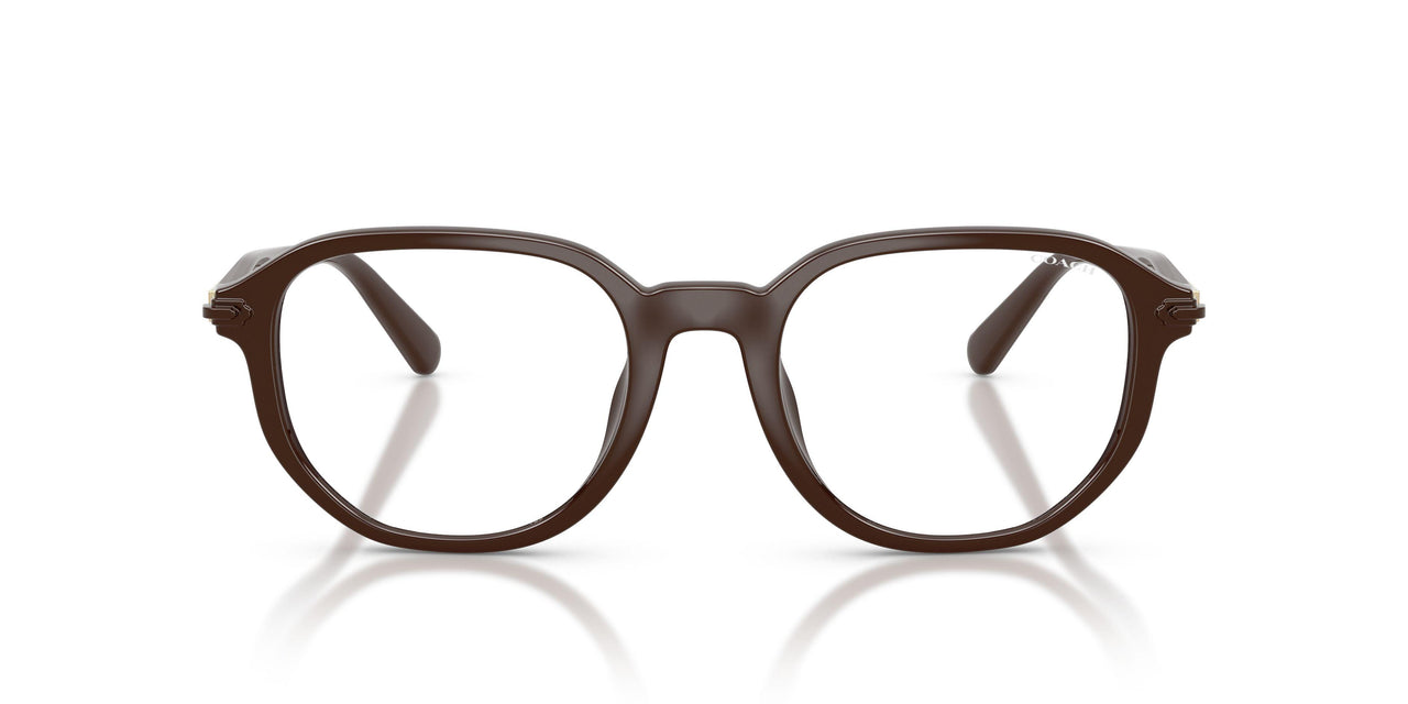 597782 - Brown - Green Solid