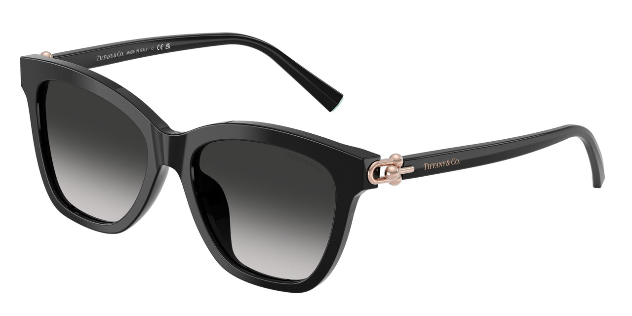80013C - Black - Grey Gradient