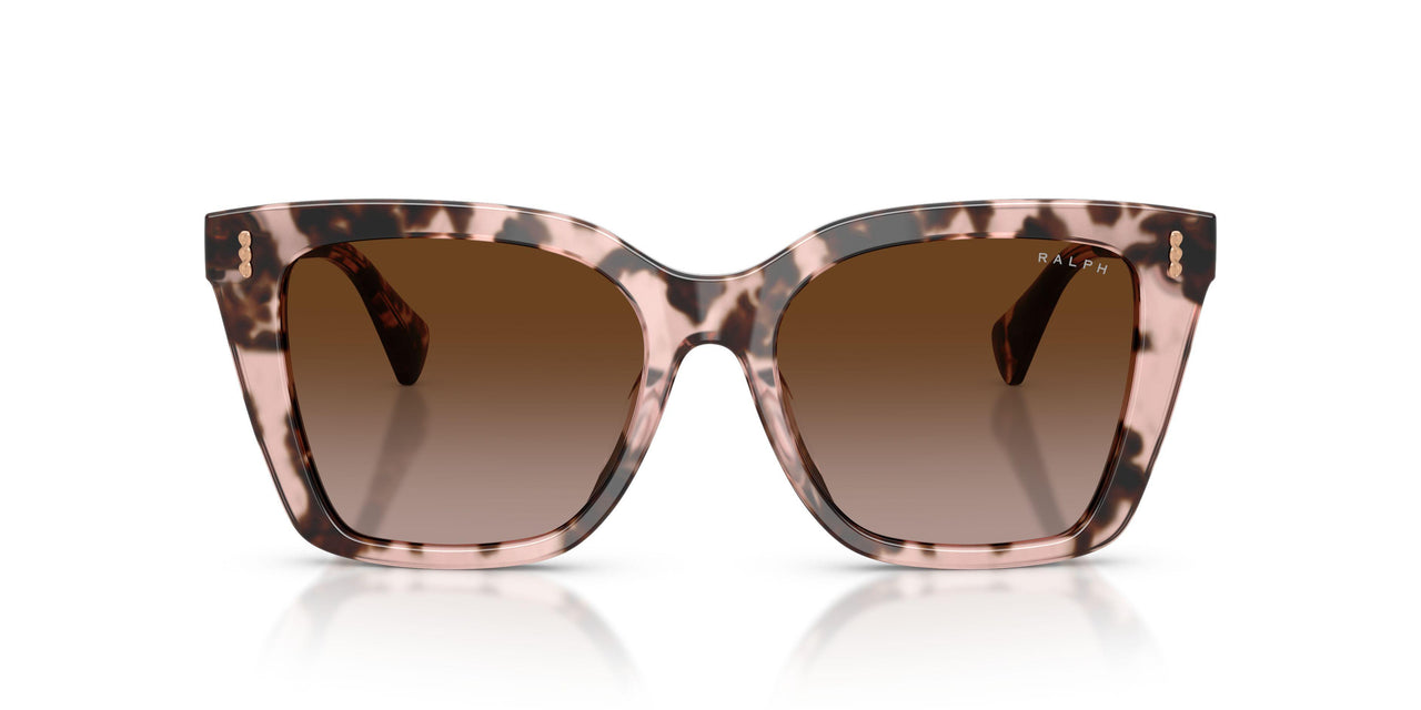 605813 - Tortoise - Gradient Brown