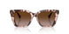 605813 - Tortoise - Gradient Brown
