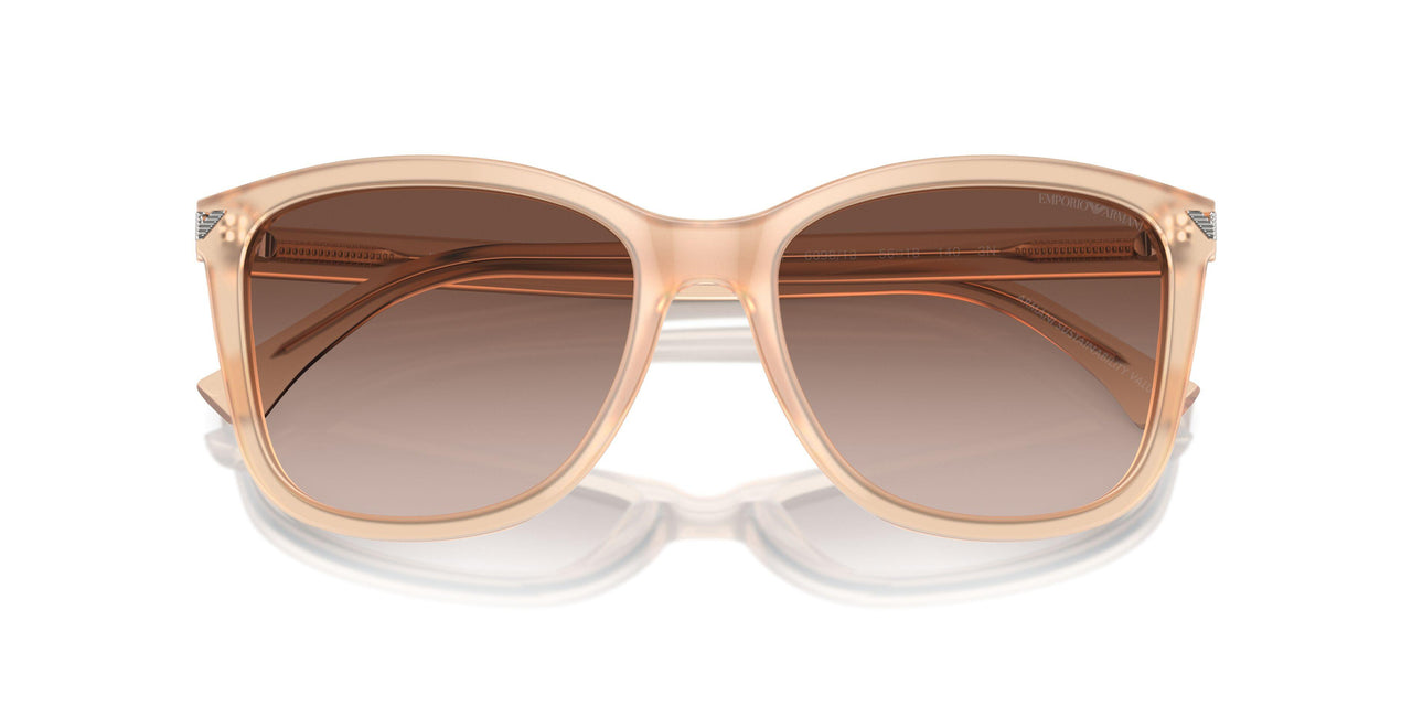 609813 - Brown - Brown Gradient