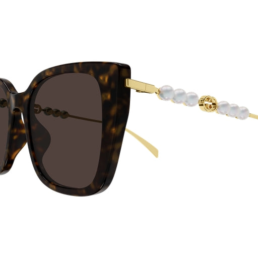 003 - Havana/Gold - Brown