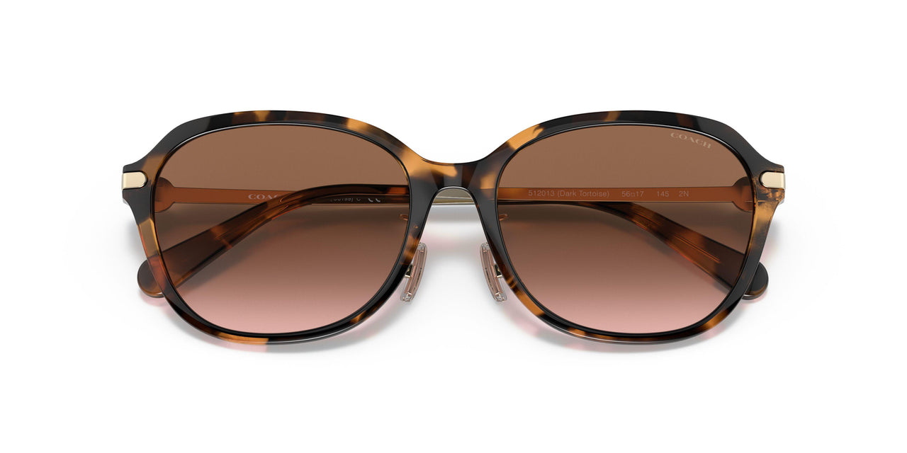 512013 - Tortoise - Brown Gradient