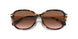 512013 - Tortoise - Brown Gradient