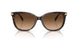 512074 - Tortoise - Brown Gradient