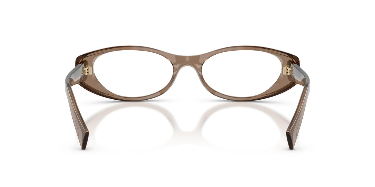 26M1O1 - Brown