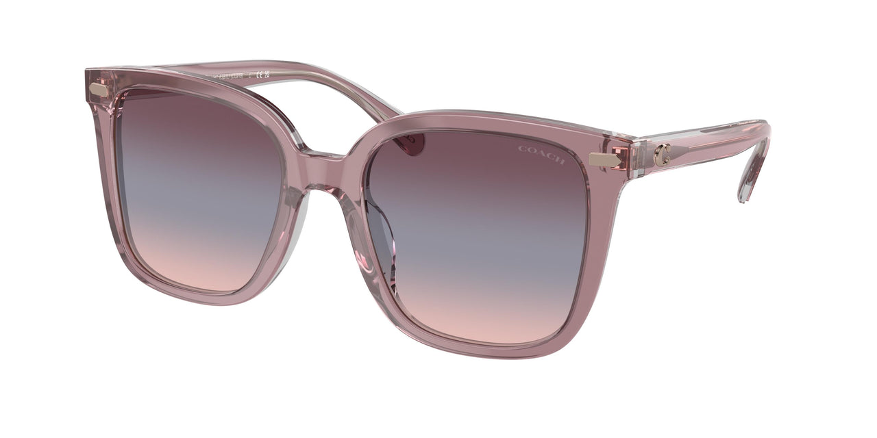 Coach Cl918 8381U Sunglasses