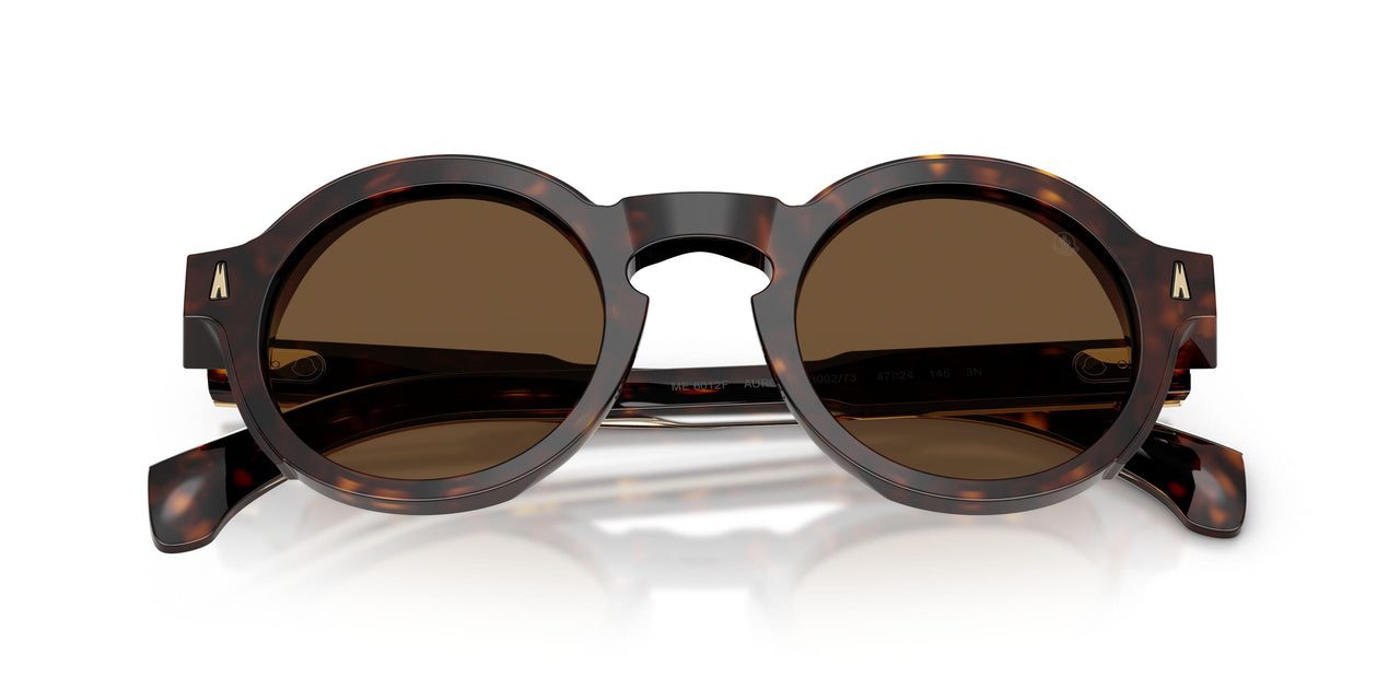 300273 - Tortoise - Solid Brown