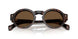 300273 - Tortoise - Solid Brown