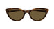 003 - Havana/Gold - Brown