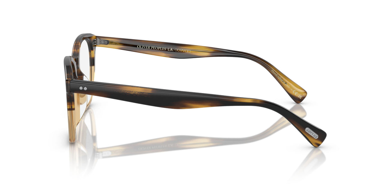 1703 - Brown