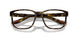 5811O1 - Tortoise