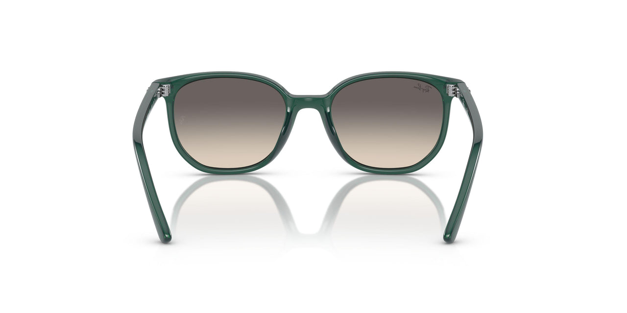 713011 - Green - Grey