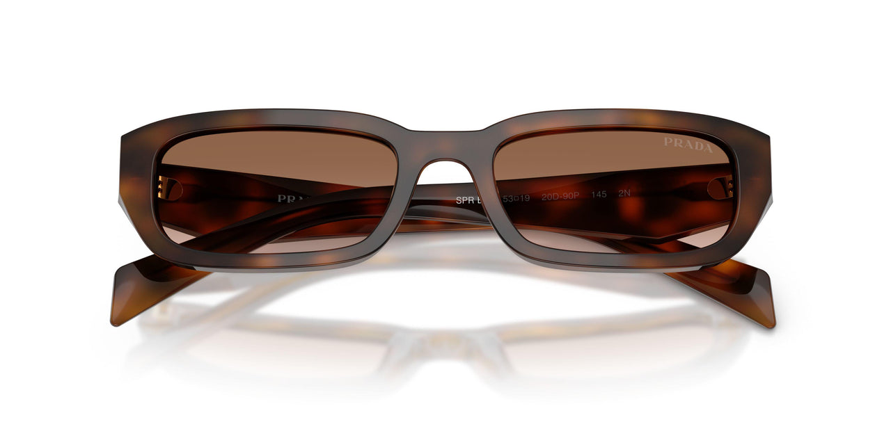 20D90P - Tortoise - Brown Gradient