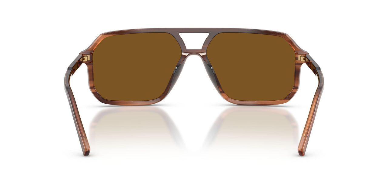 348183 - Brown - Dark Brown Polar