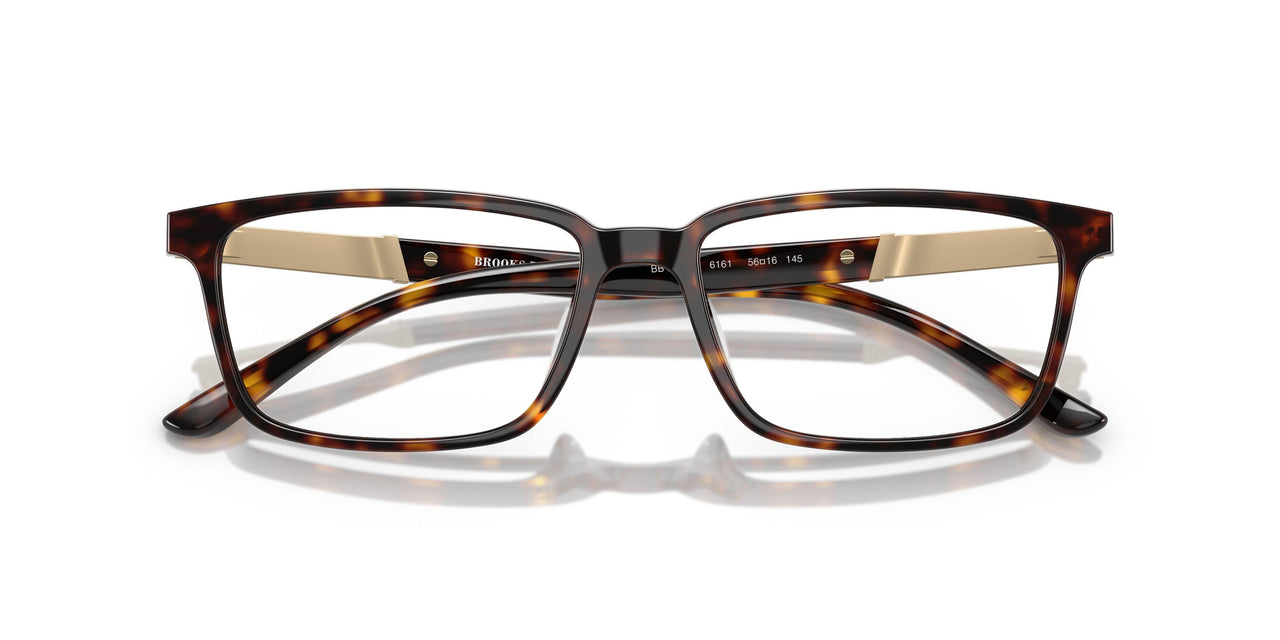 6161 - Tortoise