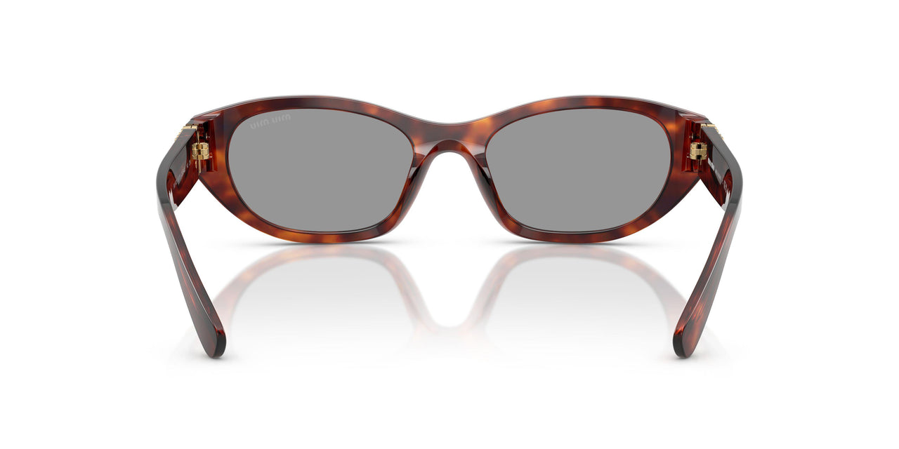 21C40O - Tortoise - Grey