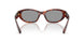 21C40O - Tortoise - Grey