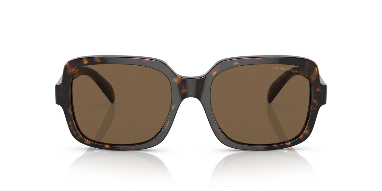 502673 - Havana - Dark Brown