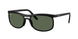 Ray-Ban 4452 Sunglasses