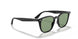 601/2 - Black - Light Green