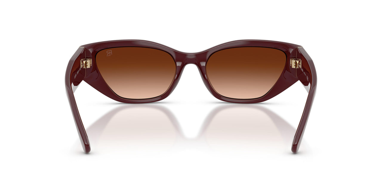 551674 - Red - Gradient Brown