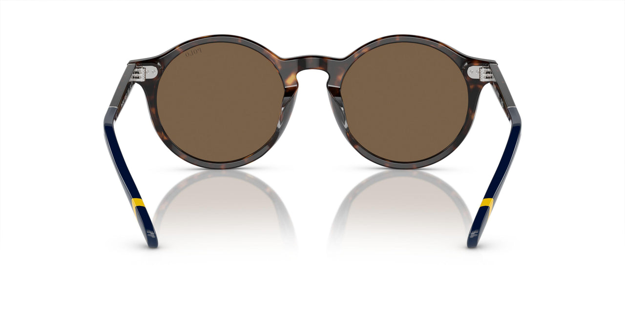 500373 - Brown - Brown