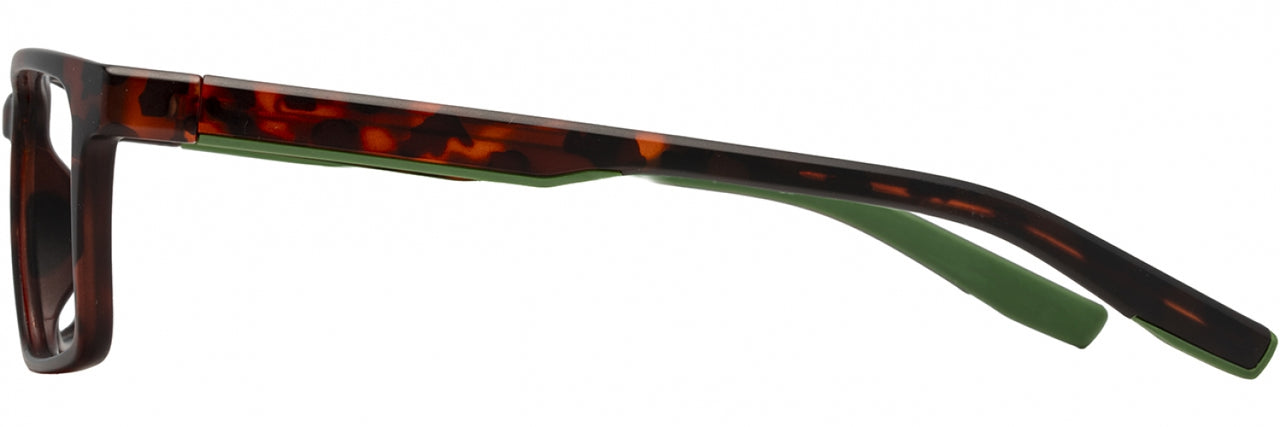 1 - Matte Tortoise / Pine