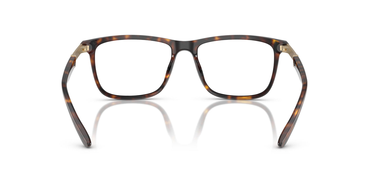 6161 - Tortoise