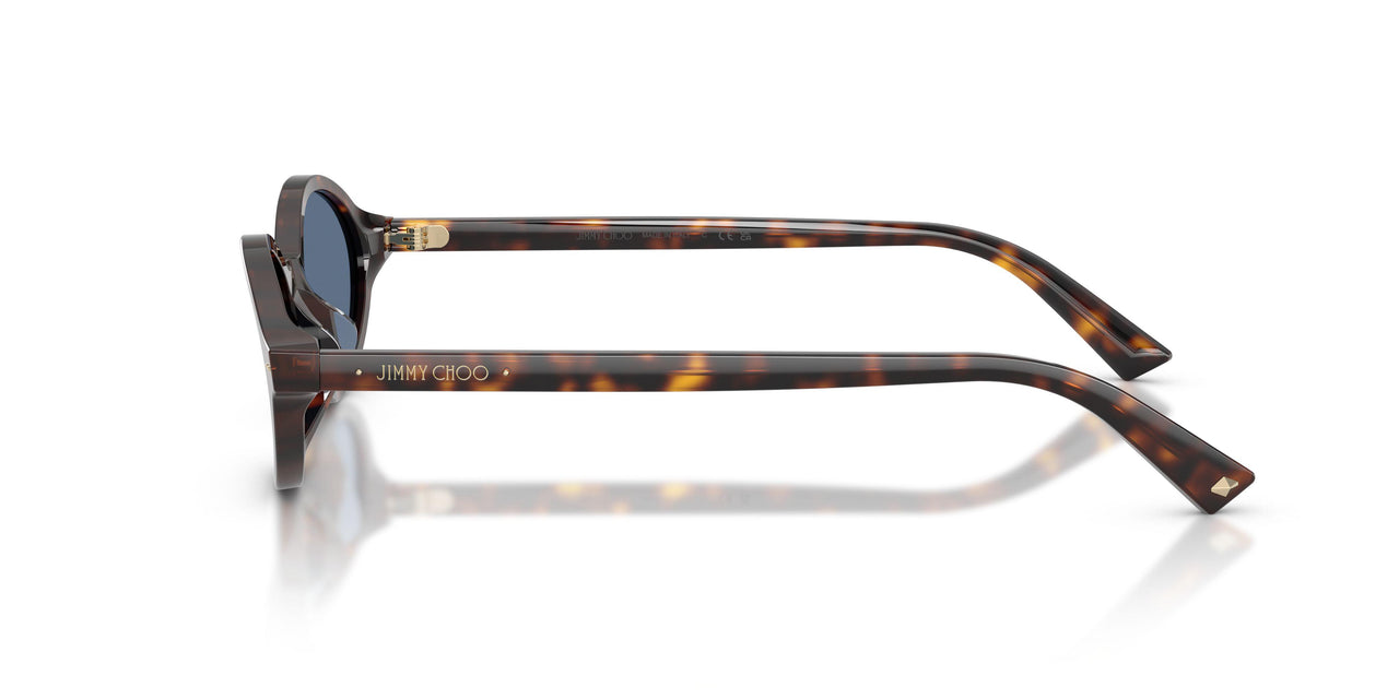 500280 - Tortoise - Blue