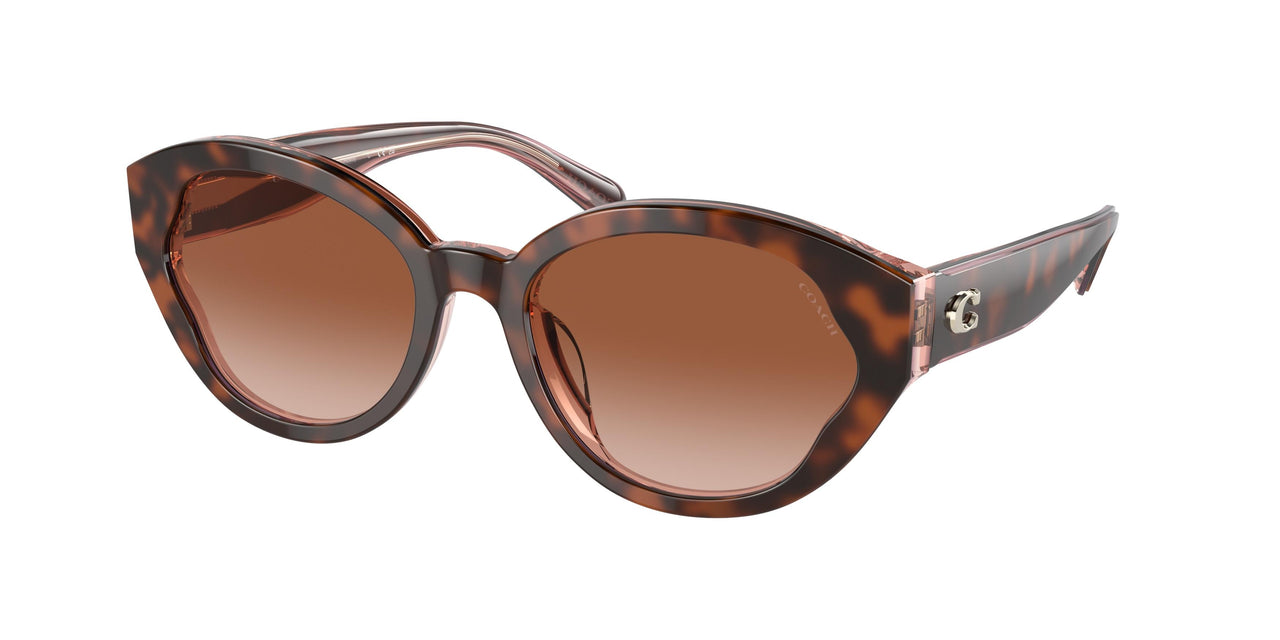 574413 - Tortoise - Brown Pink Gradient