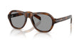 20D50Q - Havana Brown