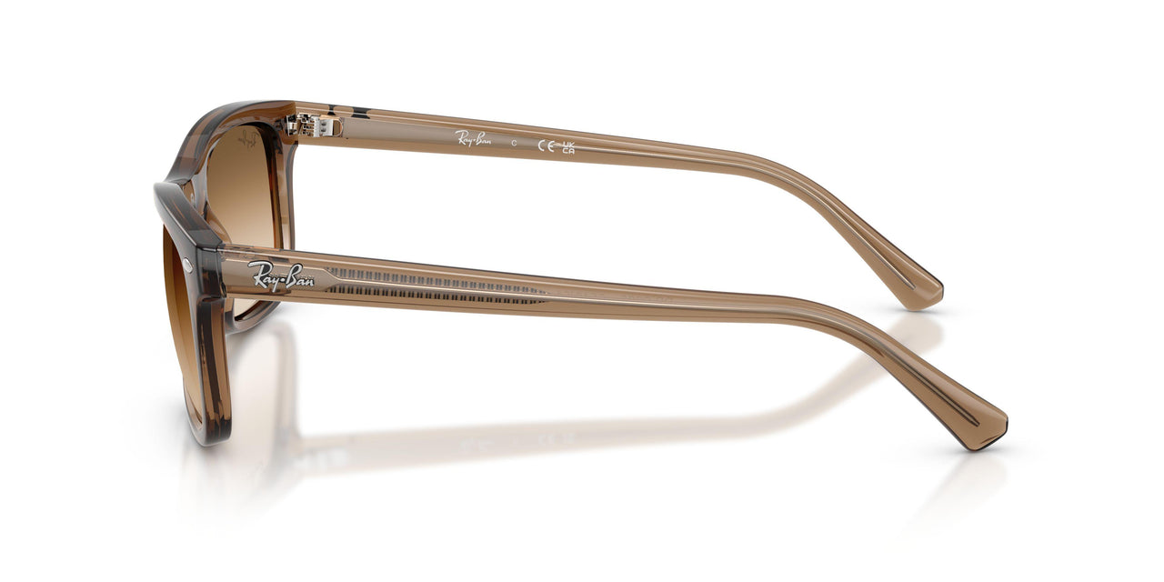 664051 - Brown - Clear Gradient Brown