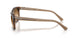664051 - Brown - Clear Gradient Brown
