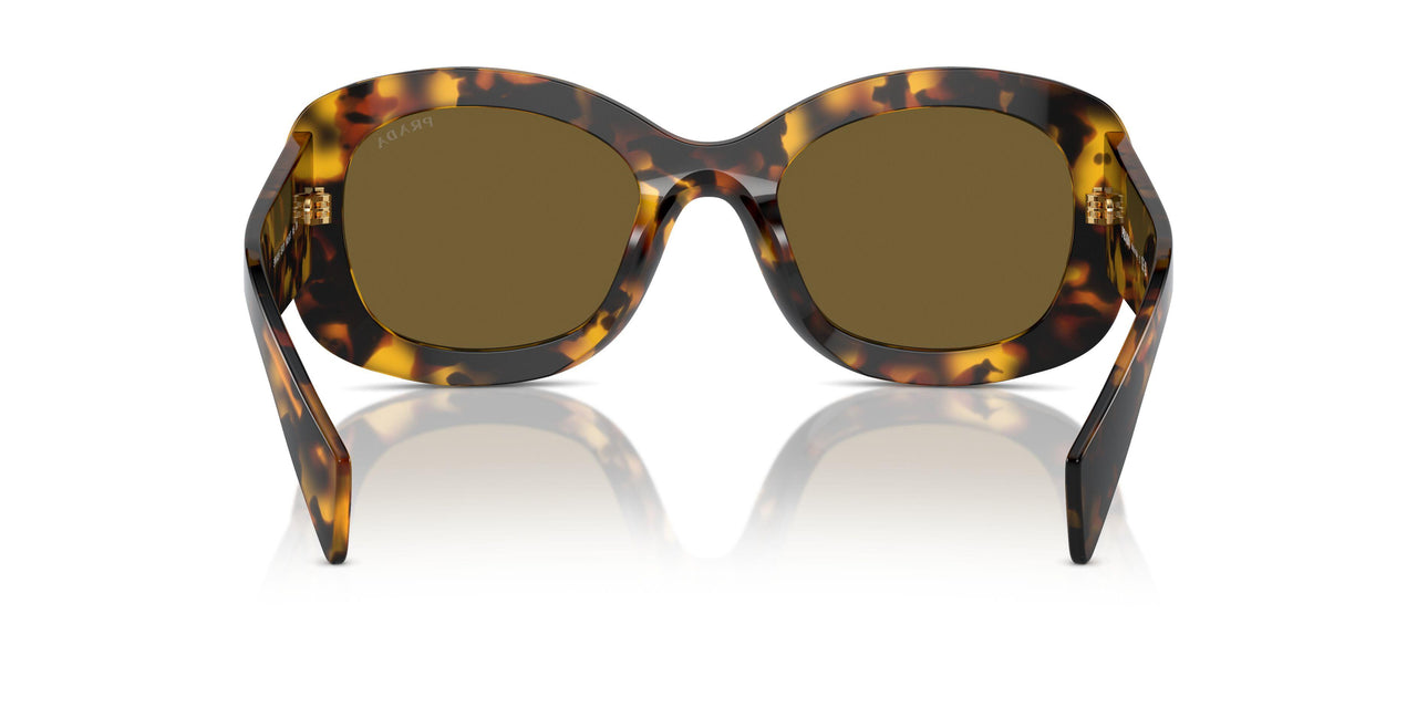 VAU01T - Tortoise - Dark Brown