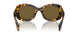 VAU01T - Tortoise - Dark Brown