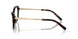 5003 - Brown