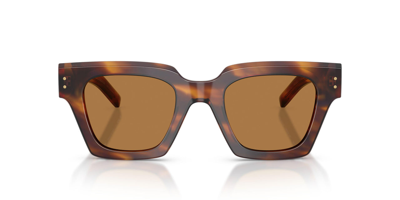 306373 - Tortoise - Bronze
