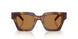 306373 - Tortoise - Bronze