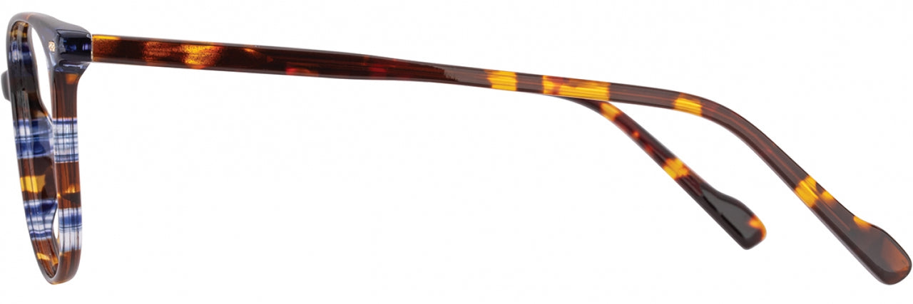2 - Indigo / Tortoise