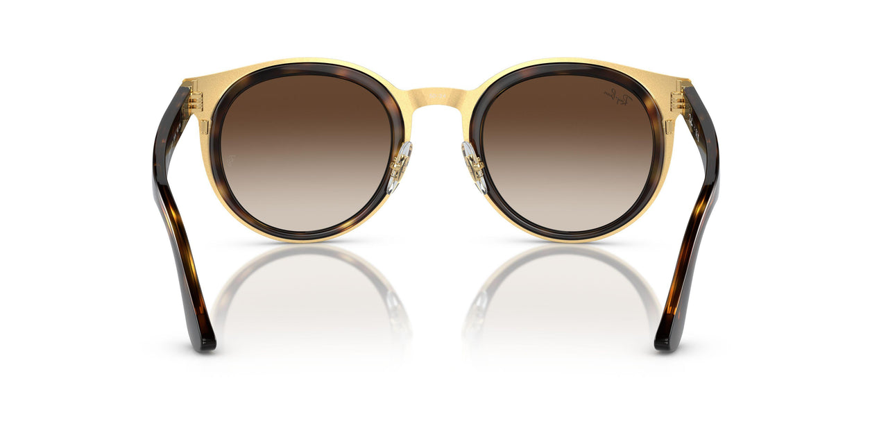 001/13 - Tortoise - Brown