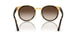 001/13 - Tortoise - Brown