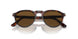 24/57 - Havana - Polar Brown