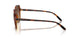W65613 - Brown - Gradient Dark Brown