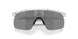 901039 - White - Prizm Black